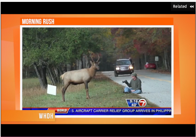 Elk Charges Photographer Who Stopped to Take Pictures, Caught on Camera
