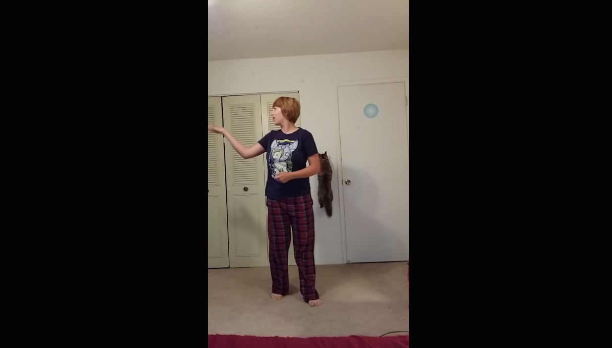 Cat Interferes with