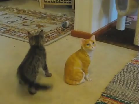 Real Cat vs. Ceramic Cat