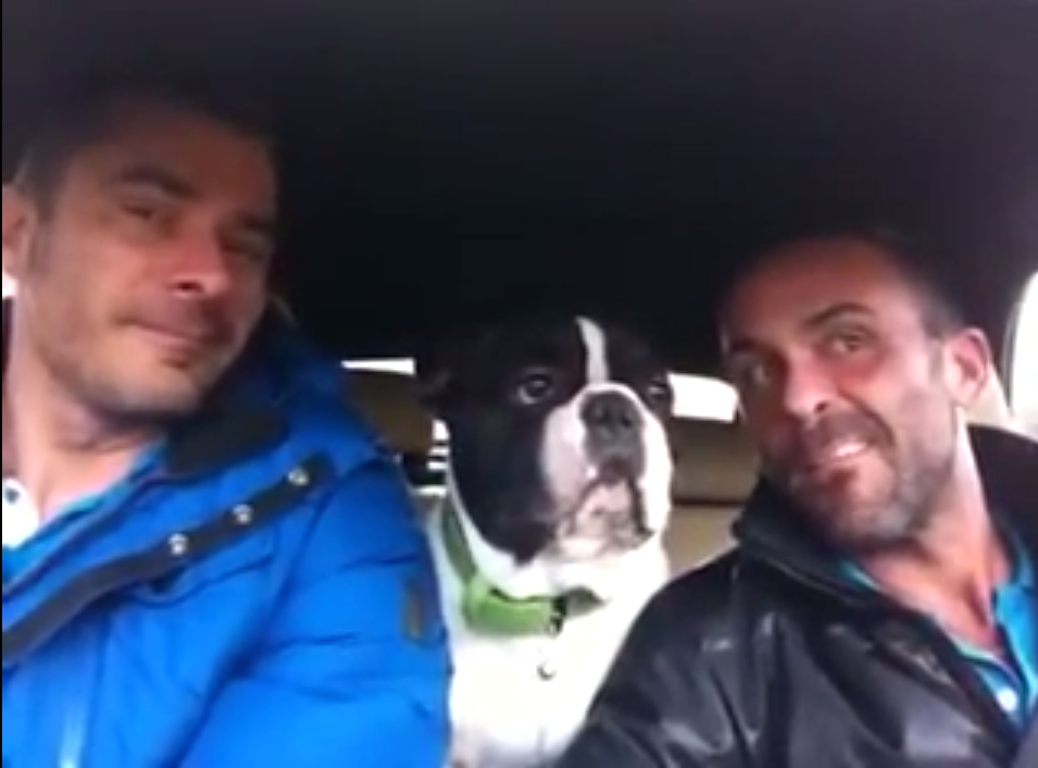 French Bulldog Sings Josh Groban, Joins Owners for Collaboration on
