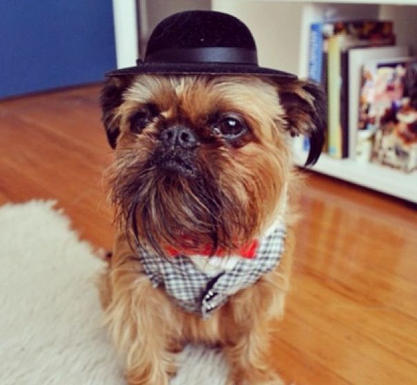Digby Van Winkle