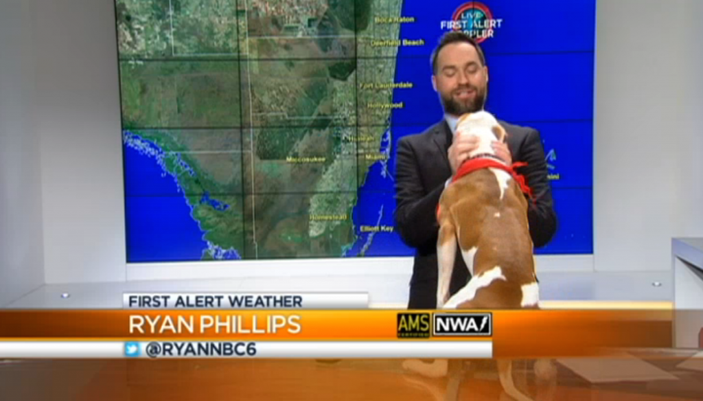 Excited Dog Interrupts Weather Report, Wants To Be a TV Star The