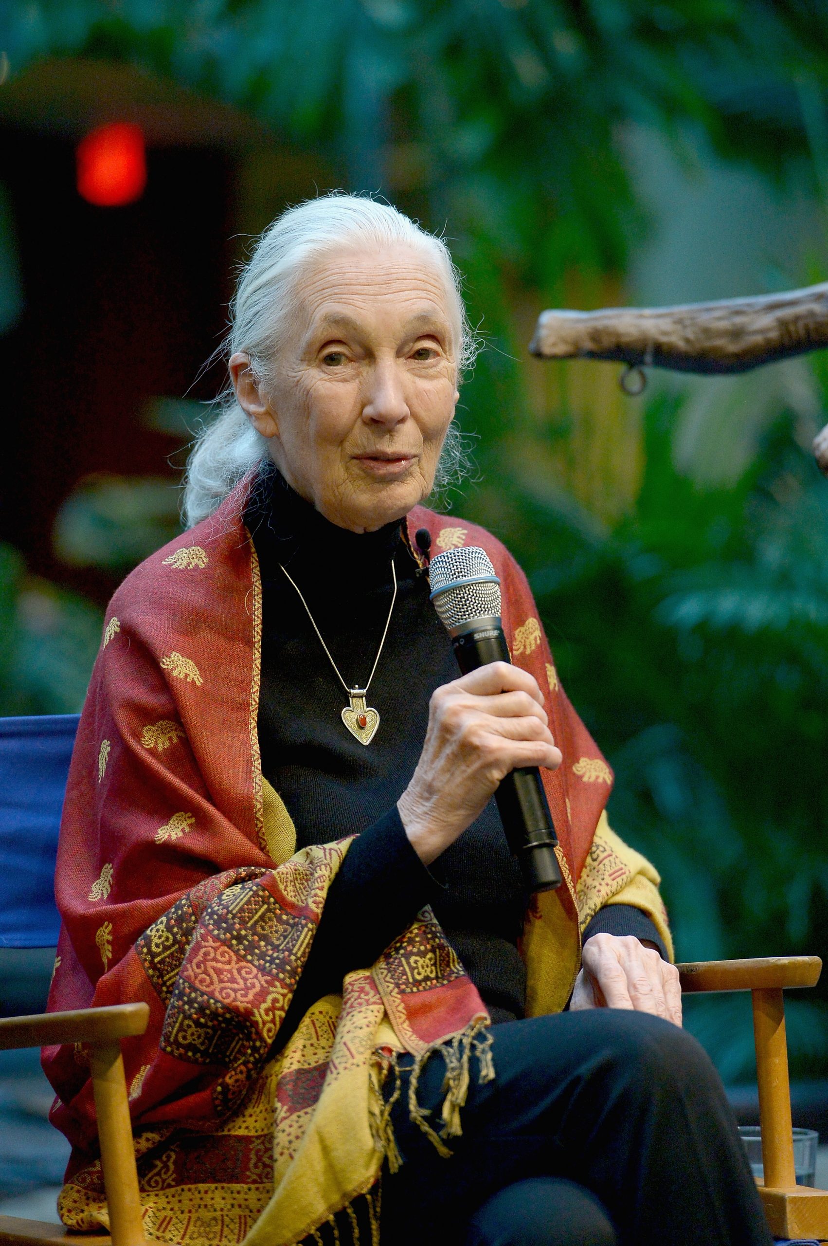 Jane Goodall
