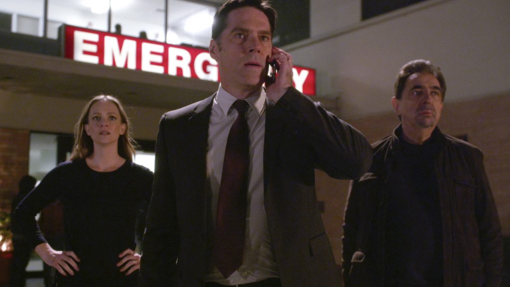 Thomas Gibson as Aaron Hotchner