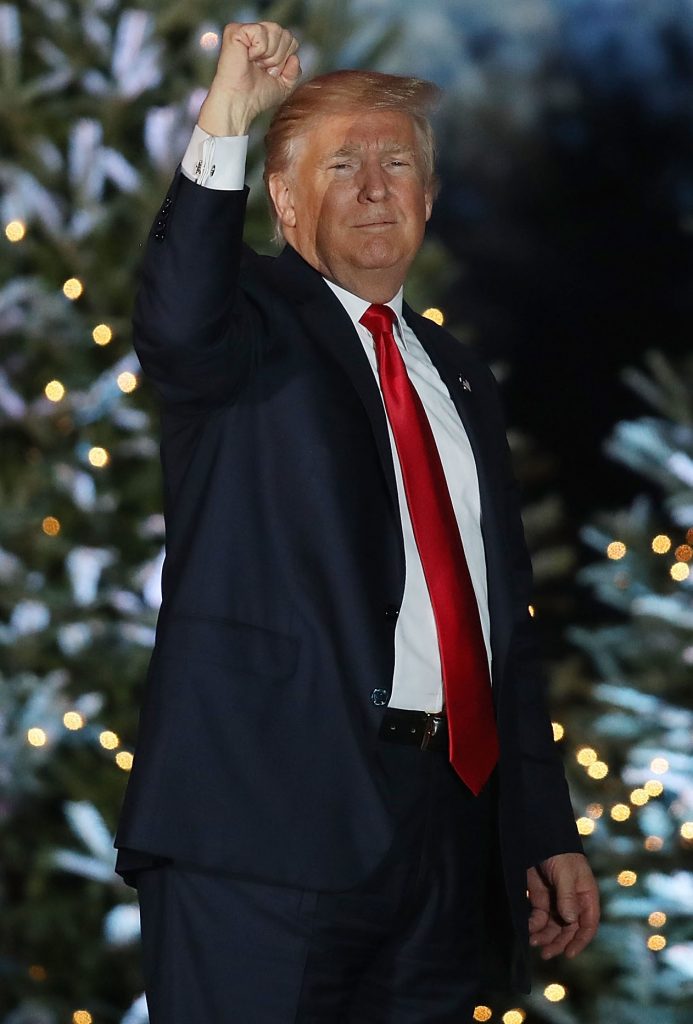 Donald Trump Raises a Fist