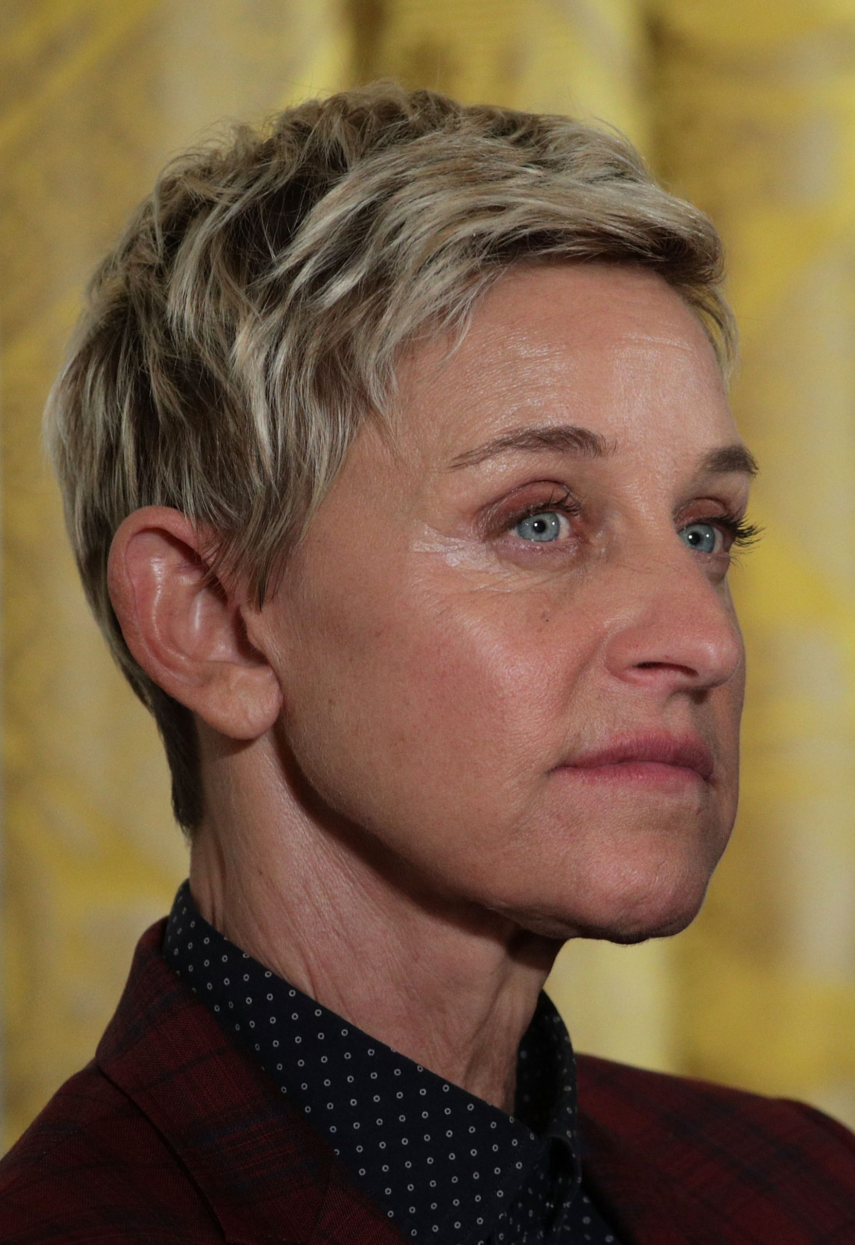 Ellen DeGeneres
