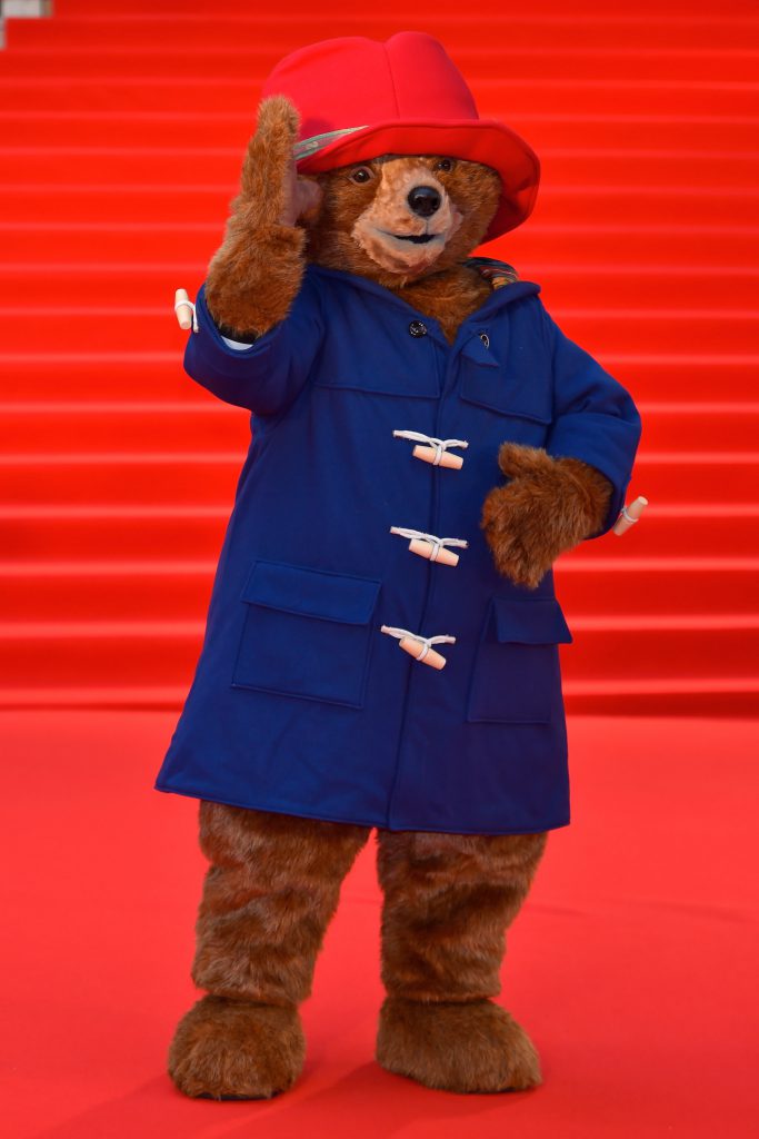 Paddington Bear