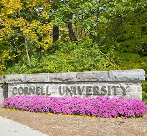 cornell