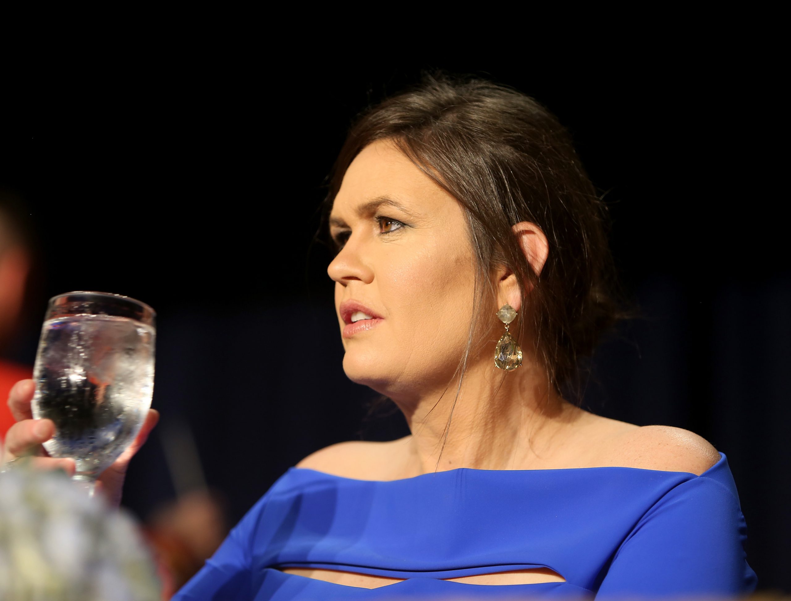 Salty with Sanders
