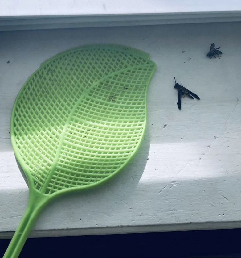 Jill Duggar Claps Back at Fans Who Roasted Her For Killing a Bee The