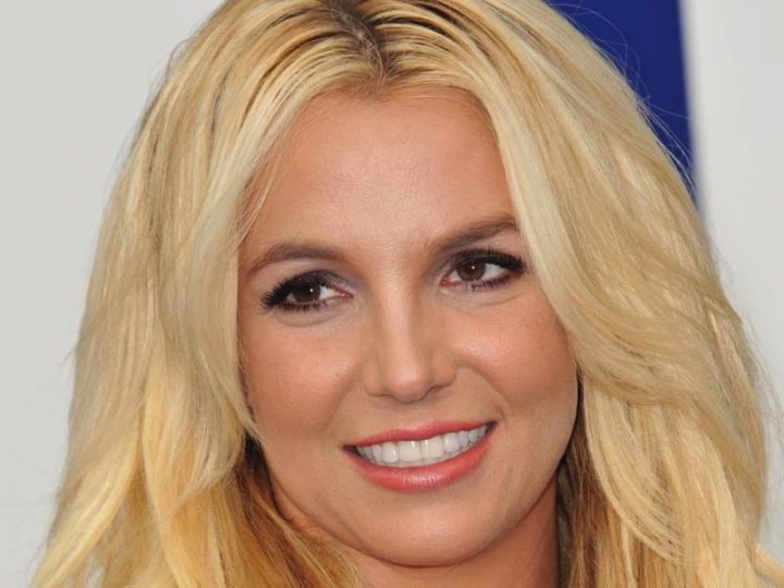 Britney Spears Wants to Get Married Again, Have More Kids The