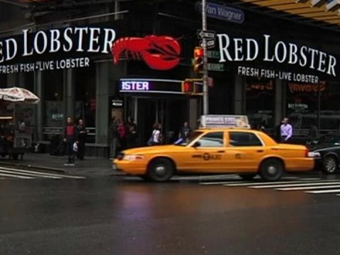 Red Lobster: Closing Down Across the Country? - The Hollywood Gossip