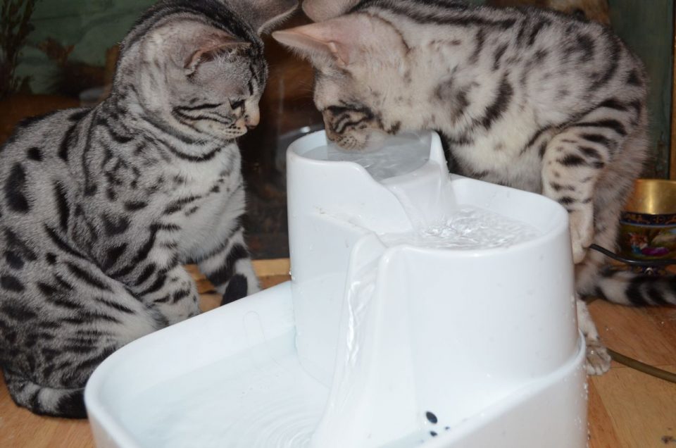 25 Things Every Human Secretly Wants To Do The Hollywood Gossip