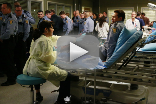 Grey's Anatomy Season 11 Episode 18 Recap: You've Got Males - The