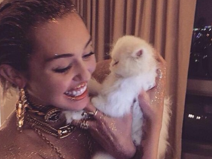 Miley Cyrus Named Sexiest Vegetarian of 2015 The Hollywood Gossip