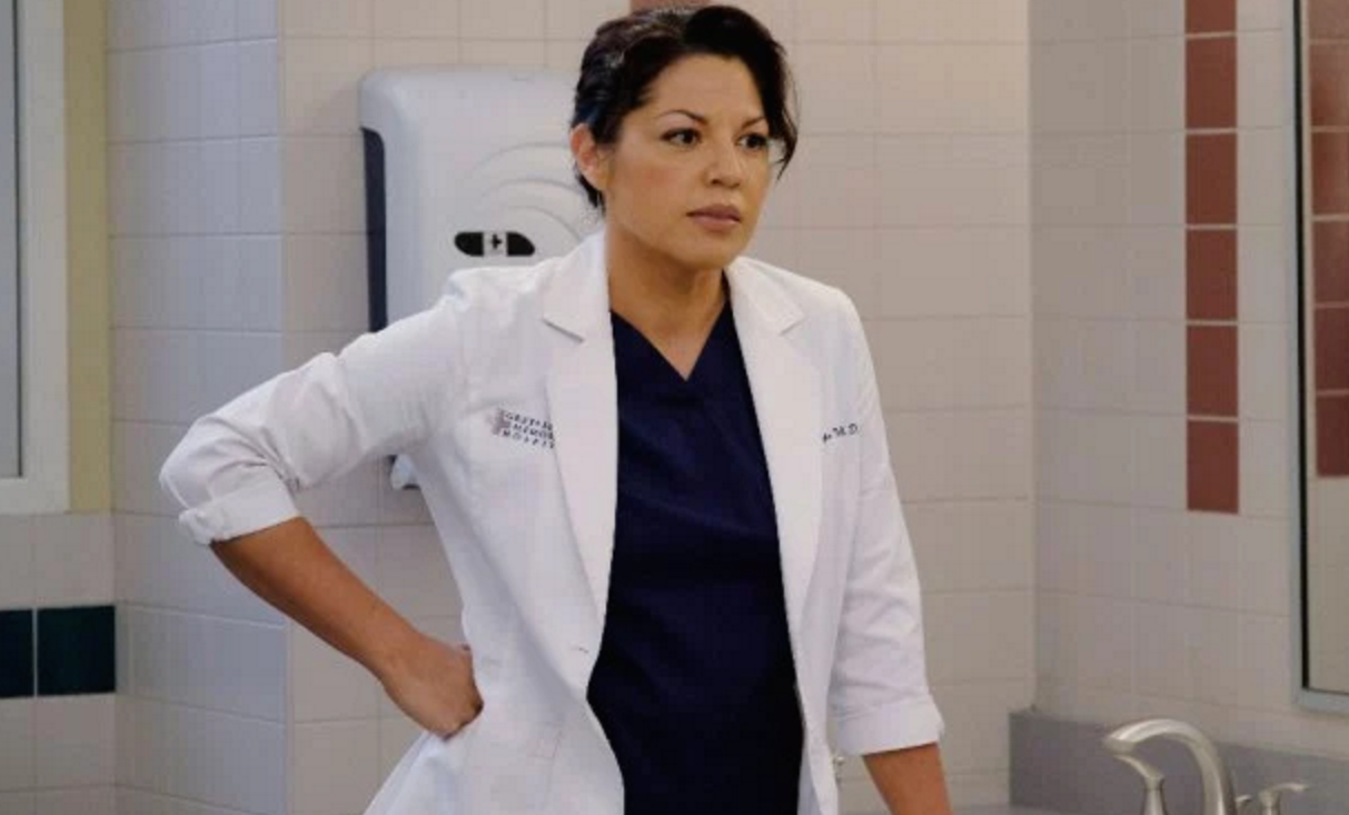 Sara Ramirez Hints at Grey's Anatomy Departure - The Hollywood Gossip