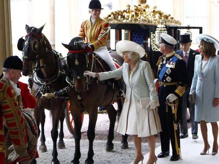 The Duchess of Cornwall Pets a Horse at Buckingham Palace