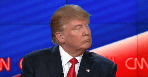 Donald Trump Shrugs It Off GIF