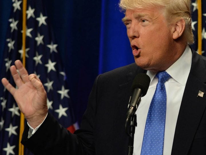 Trump My Hand: Find Out If Your Paws Measure Up to the Donald’s!