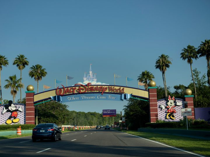 Disney World Tragedy: Little Boy Dragged Into Water By Alligator