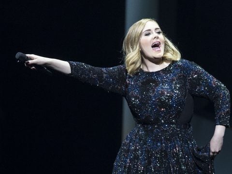 Adele Sparkly Dress Pic