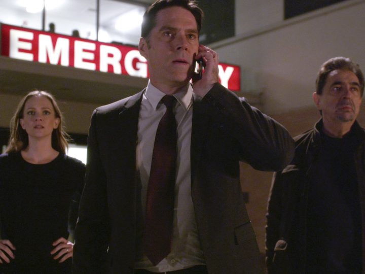 Thomas Gibson as Aaron Hotchner