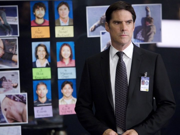 Thomas Gibson as Hotchner