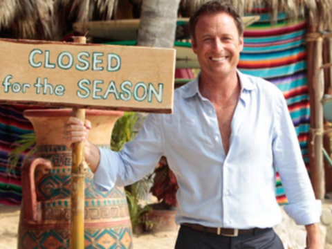 Chris Harrison on Bachelor in Paradise