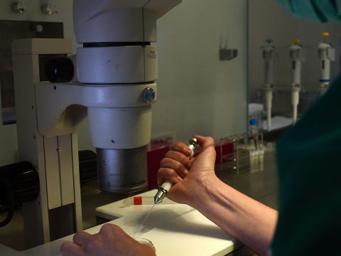 Fertility clinic Employee pic