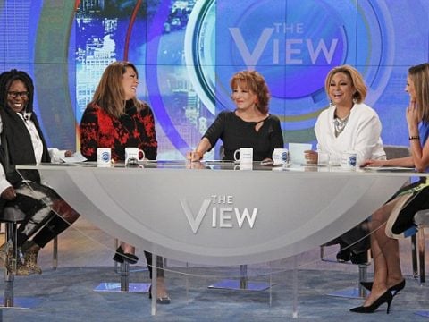 The View Panel