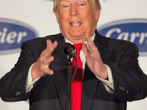 Donald Trump, Hands