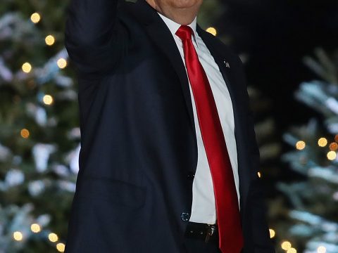 Donald Trump Raises a Fist