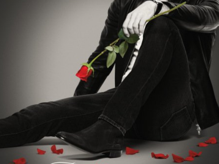 Nick Viall Bachelor Poster