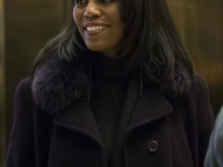 Omarosa Manigault Actually Joins Donald Trump Transition Team