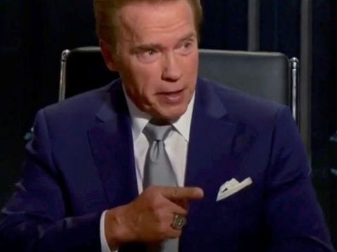 Arnold Schwarzenegger as The Boss