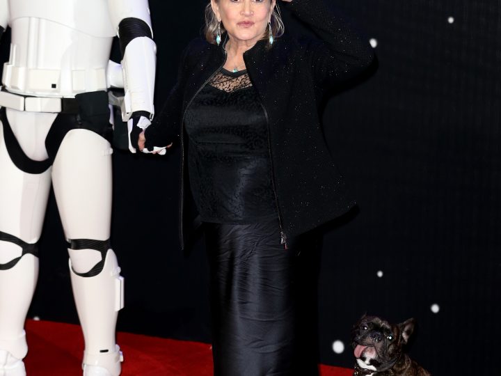 Carrie Fisher Honored, Celebration at Star-Studded, Emotional Memorial