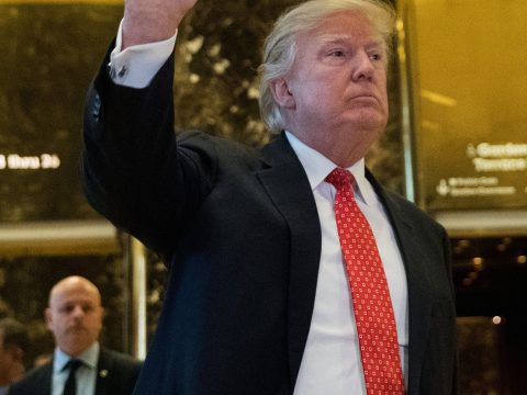 Donald Trump: A Photo