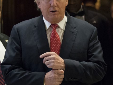 Donald Trump: A Picture