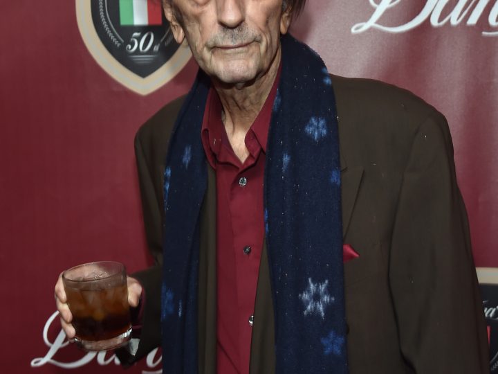 Harry Dean Stanton Dies; Veteran Actor Was 91