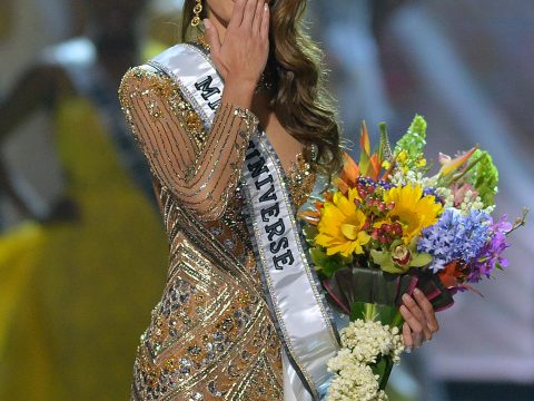 Iris Mittenaere Picture