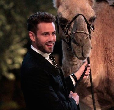 Nick Viall and a Camel