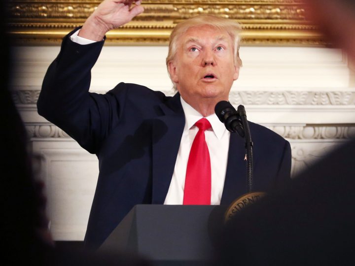 Donald Trump Measures His Wall