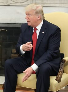 Donald Trump as the POTUS