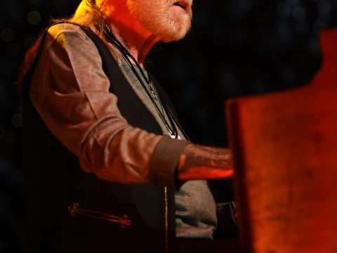 Gregg Allman Image