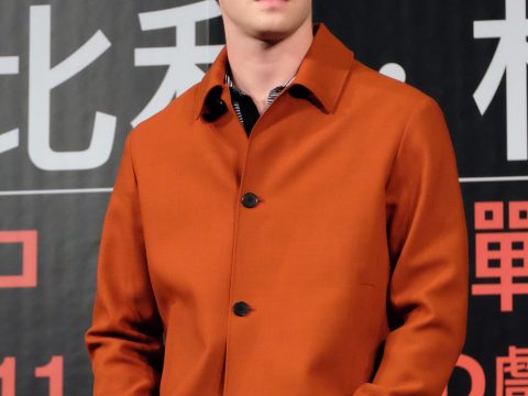 Joe Alwyn Picture