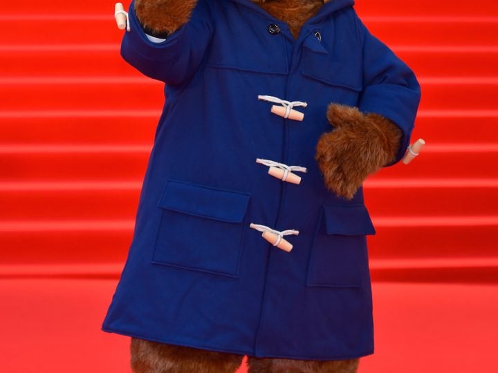 Paddington Bear