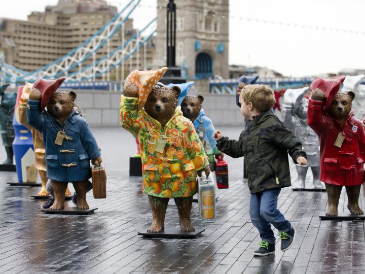 Paddington Bears, Plural