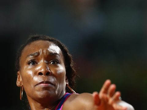 Venus on the Court