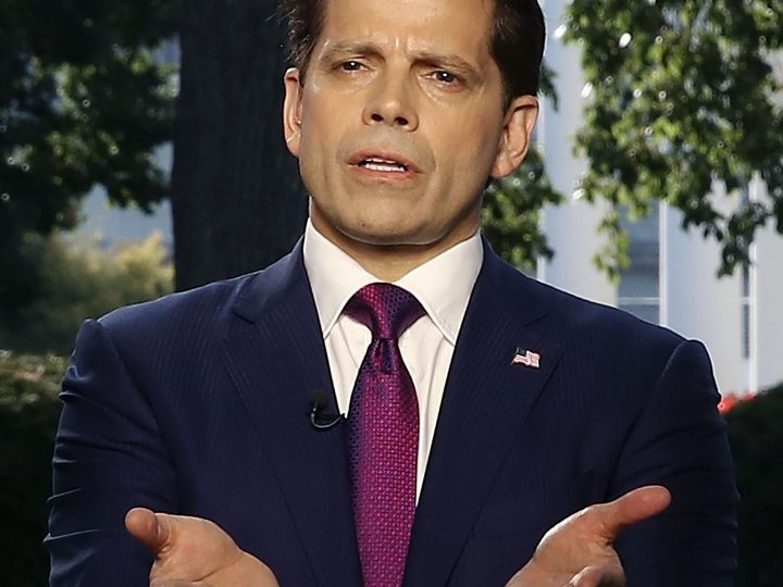 Anthony Scaramucci at a Loss
