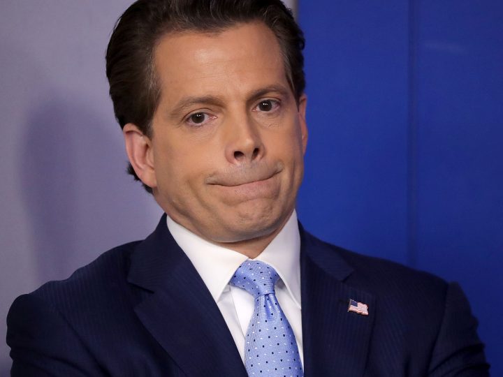 Anthony Scaramucci Looking Chagrined